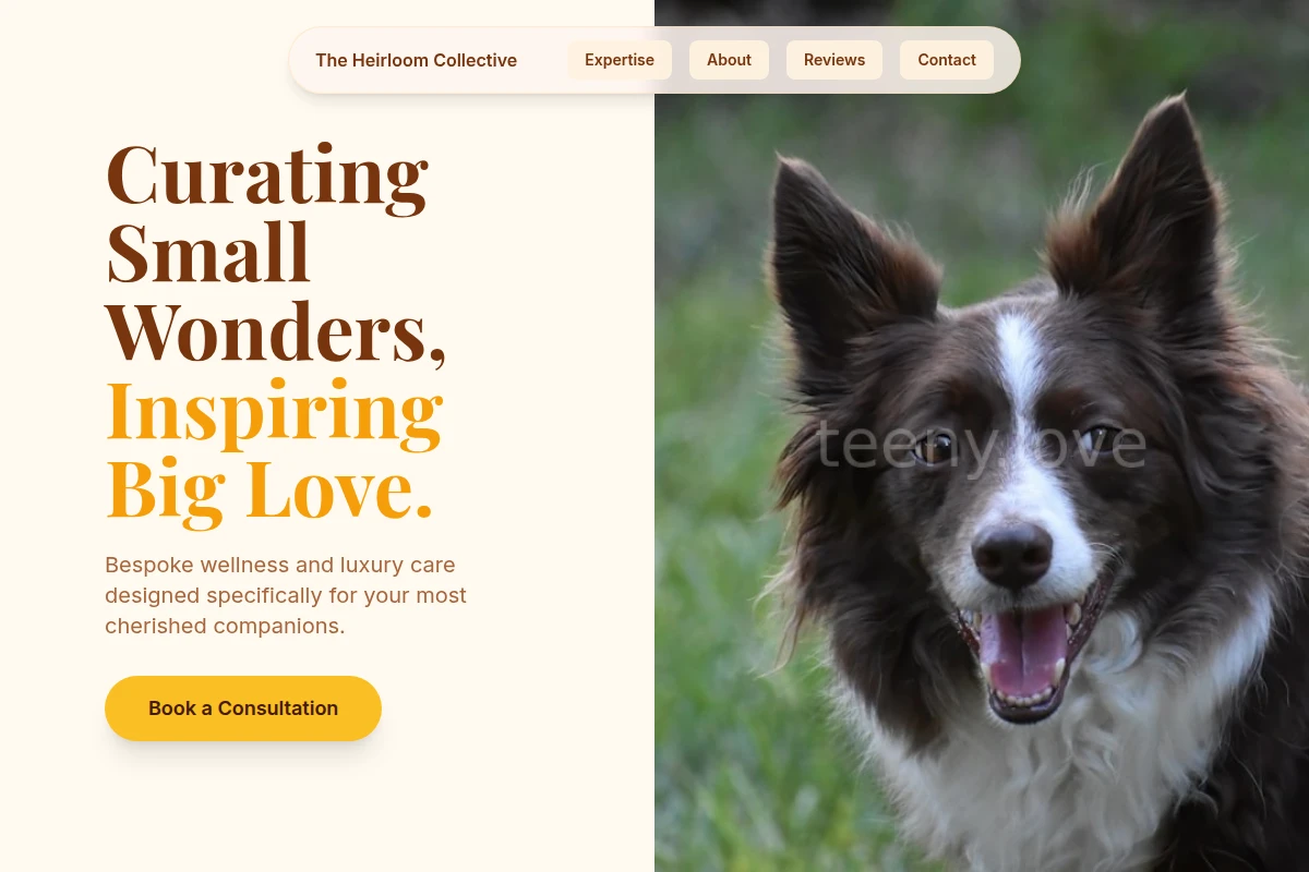 Curated Pet Services